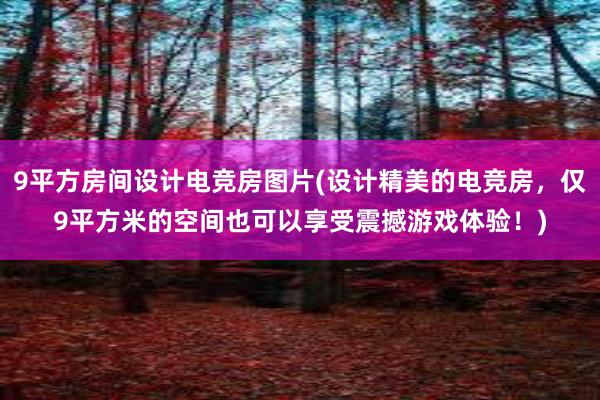 9平方房间设计电竞房图片(设计精美的电竞房，仅9平方米的空间也可以享受震撼游戏体验！)