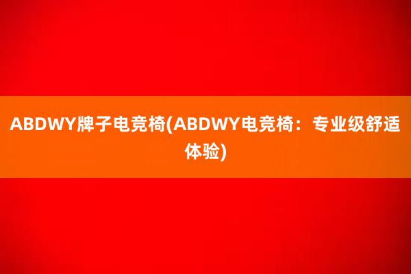 ABDWY牌子电竞椅(ABDWY电竞椅：专业级舒适体验)