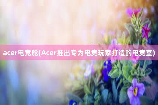 acer电竞舱(Acer推出专为电竞玩家打造的电竞室)